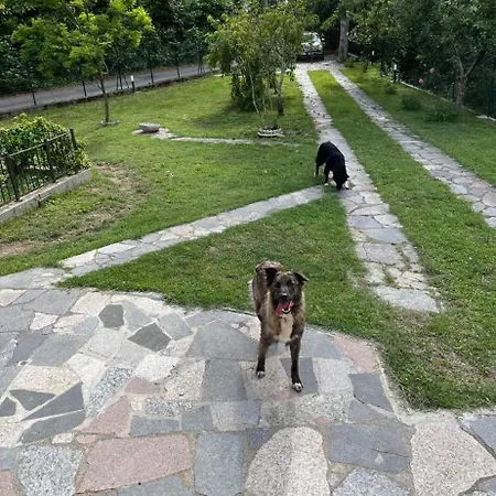 Casavacanze Azzurra Casa vacanze *
