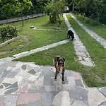 Casavacanze Azzurra Prázdninový dům *